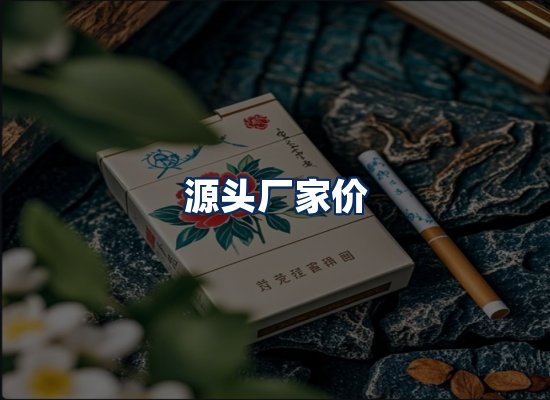 专业团队办公环境